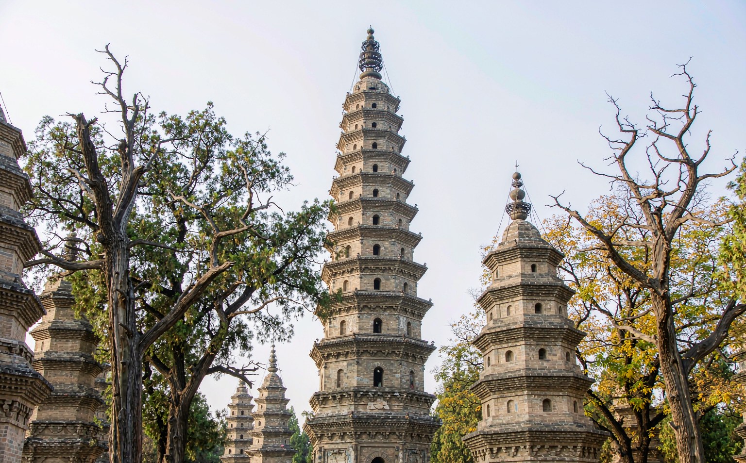 河南全境精华四日游:郑州+开封+少林寺+洛阳