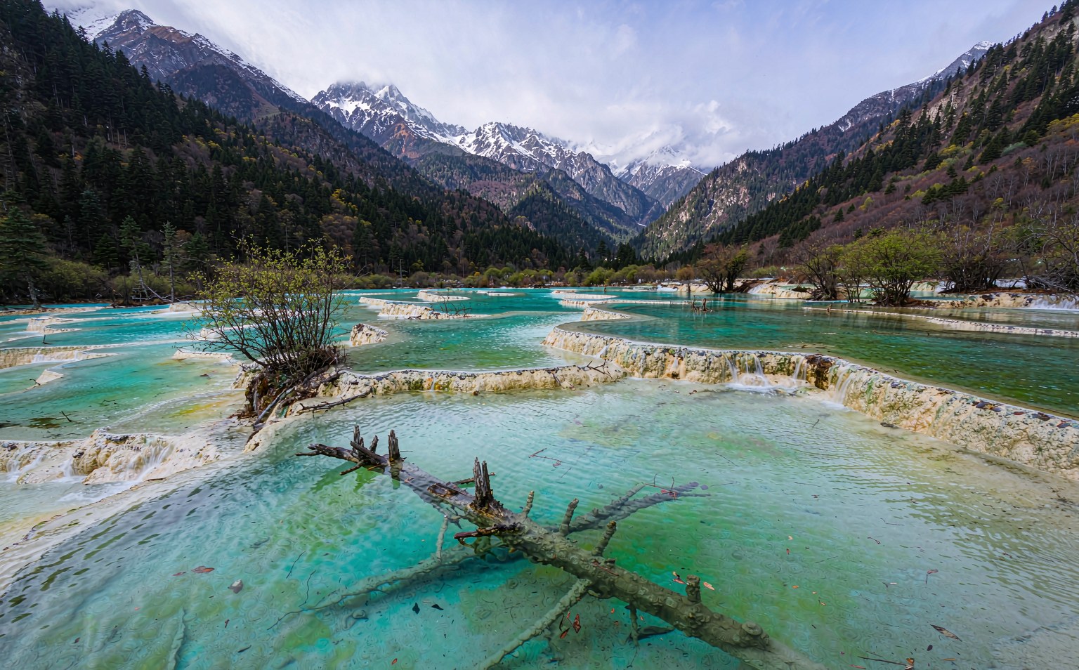 成都出发都江堰+青城山+6天5晚跟团游